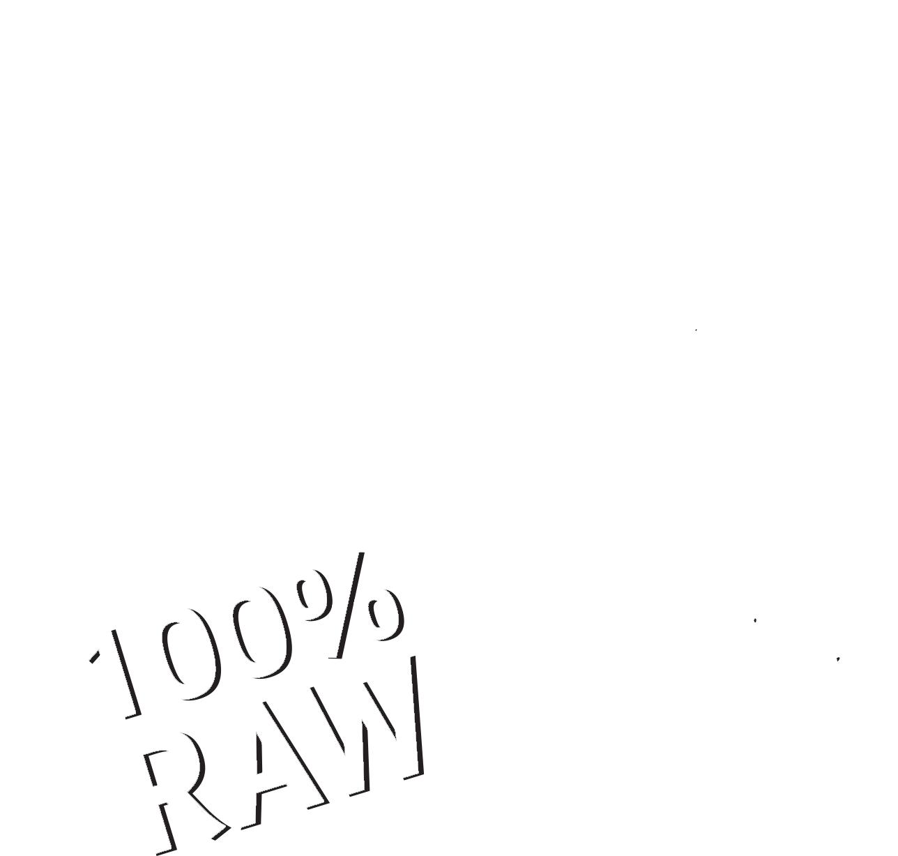 Wild Bar